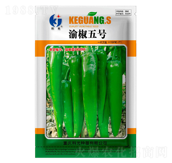 �彷5̖(h��o)-�ƹ�N��