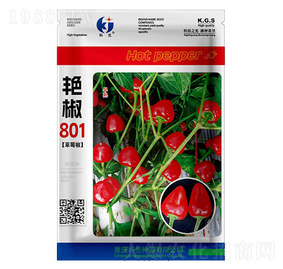 �G��801-�ƹ�N��