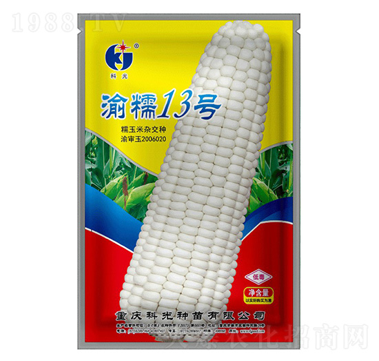 ��Ŵ13̖-�ƹ�N��