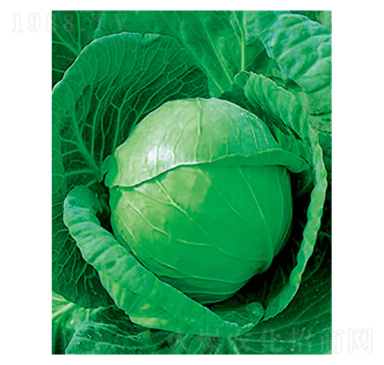 �и�ʮһ���{�N��-̫���N�I(y��)