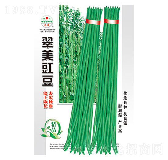 �����N��-��������-̫���N�I(y��)