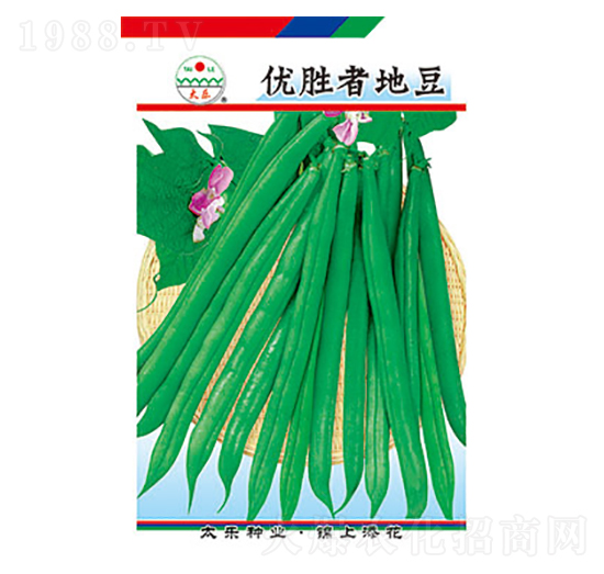 �����N��-��(y��u)���ߵض�-̫��(l��)�N�I(y��)