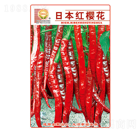 �����N��-�ձ��t�ѻ�-̫���N�I(y��)