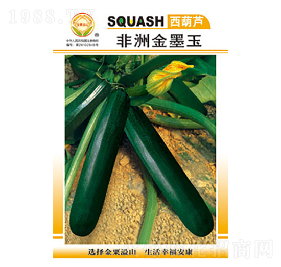 �����J�N��-���޽�ī��-̫��(l��)�N�I(y��)