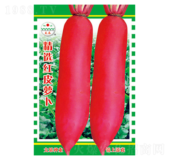 �}���N��-���x�tƤ�}��-̫���N�I(y��)