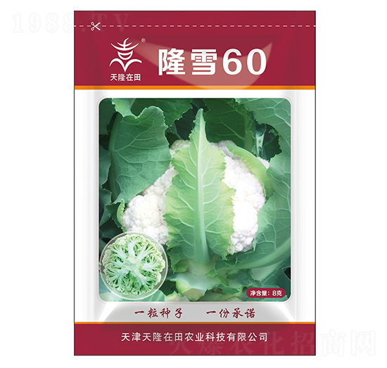 ¡ѩ60-��¡����-��¡�r�I(y��)