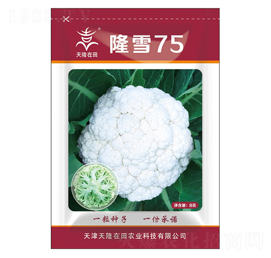 ¡ѩ75-��¡����-��¡�r�I(y��)