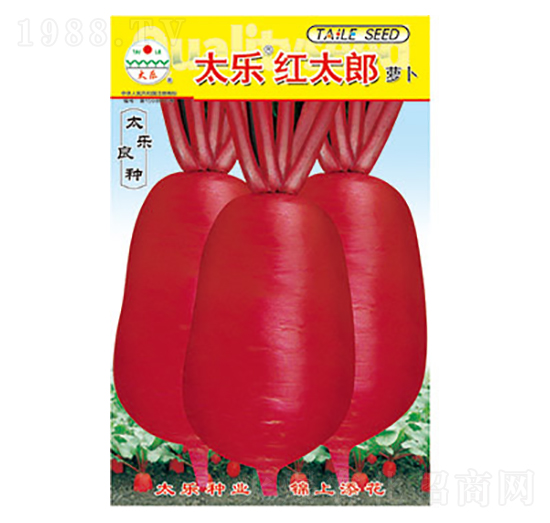 �}���N��-̫���t̫��-̫���N�I(y��)