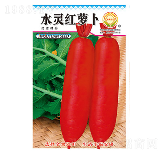 �}���N��-ˮ�`�t�}��-̫���N�I(y��)