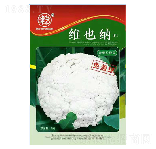 ���˷N��-�SҲ�{-���S�r(n��ng)�I(y��)