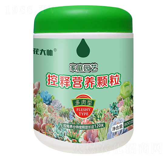 800�˶����ͼ�ͥ�@ˇ��ጠI(y��ng)�B(y��ng)�w��-����-�G�ַʘI(y��)