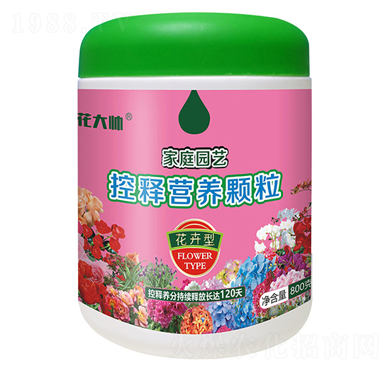 800�˻����ͼ�ͥ�@ˇ��ጠI�B(y��ng)�w��-����-�G�ַʘI(y��)