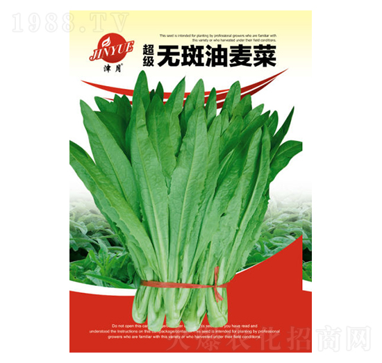 �����˷N��-���S�r�I(y��)