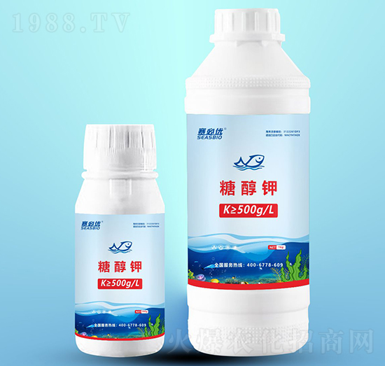 �Ǵ��-ِ�؃�(y��u)