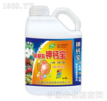 ��(r��n)��-��������}��