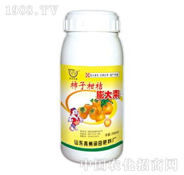 ����-���Ӹ��������