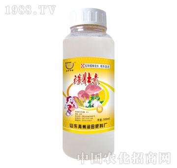 ����-������