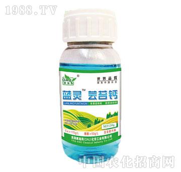 ��ʩ��-�{(l��n)�`�|̦�}