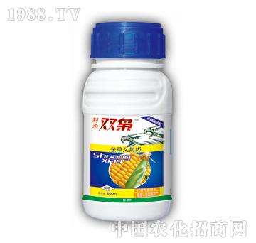 �⚢�p�U-̩�(y��ng)