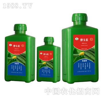 �S�ό��ð���������Һ��