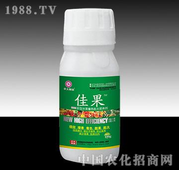 �ѹ�-�r��ڈ@