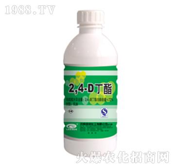 72%2��4�ζ���-�G��