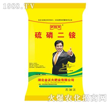 ������@-����P(gu��n)-ïʢ