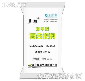 ���ȩ��(f��)�Ϸ���18-25-8-����-ïʢ