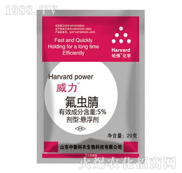 5%���x��-����-���¿��r(n��ng)