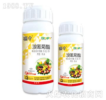 25��ÿ��-����-���¿��r