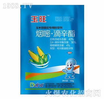 40%���ס�������-����-�hҊ�r(n��ng)�I(y��)