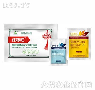 ���������b�M��-�h(yu��n)Ҋ(ji��n)�r(n��ng)�I(y��)