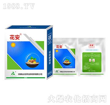 ����-�hҊ�r�I(y��)