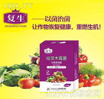 ΢�������-����ľù��-����-꿾�