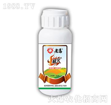 ���R�O��-�����r�I(y��)