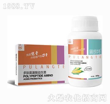 玉米需配-多肽氨基酸益生菌-圃朗特