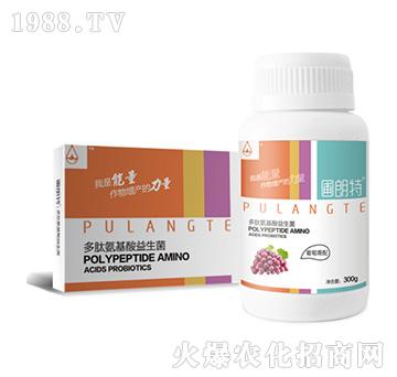 ��������-���İ�����������-������