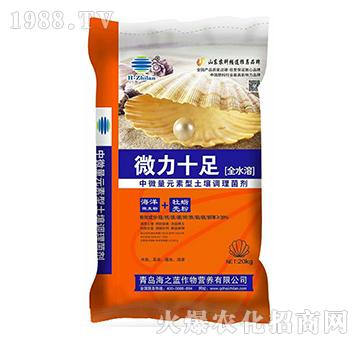 ȫˮ����΢��Ԫ�ط�-΢��ʮ��-��֮�{(l��n)