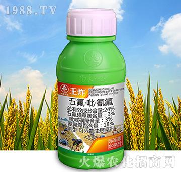 24%������������-��ը-�к����_(d��)