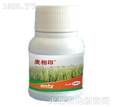 15%Ȳ����-����ӡ-���˰ل�