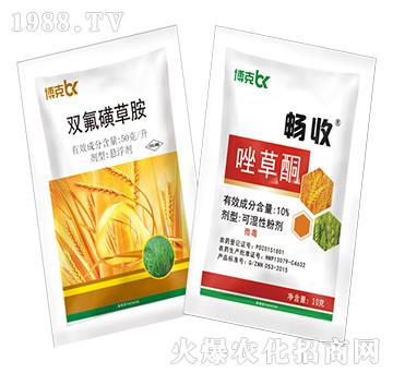 50��ÿ���p���ǲݰ�+10%���ͪ-���˰ل�