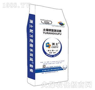 �����ޏ�(f��)������-�����p�p-����