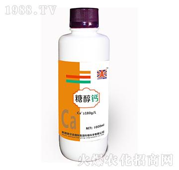 �Ǵ��}-�W��ɭ