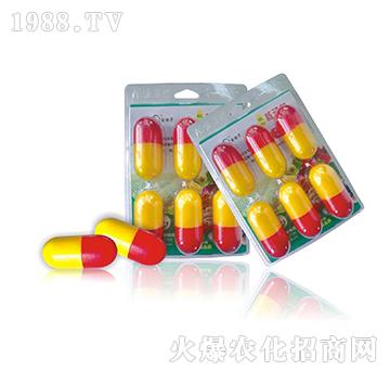 ֲ��˄�(d��ng)��-�W��ɭ