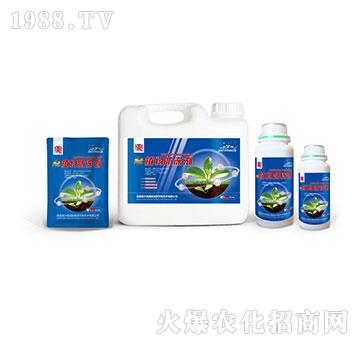 ֲ��������ײ�-�W��ɭ