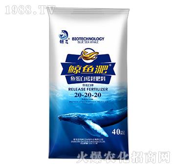 �~���׾�ጷ���20-2