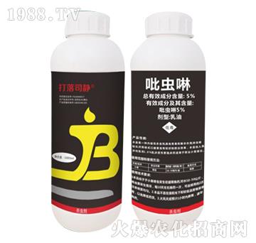 5%���x��-����˾�o-���˸�