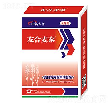 ���(zhu��n)�ó��݄����b-�Ѻ���̩-�����Ѻ�