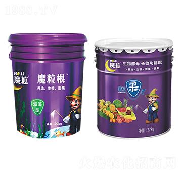 ħ����-ħ���ʘI(y��)