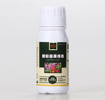 �ڷ��������棨ƿ��-��{�R-̩����H